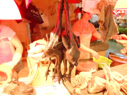 Black skin chickens.